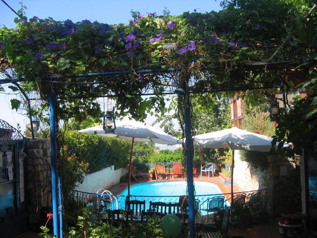 Villa Tehila - By V Club Chainロシュ・ピナ エクステリア 写真